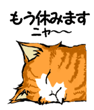 Real cat2 sticker #9195079