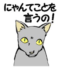 Real cat2 sticker #9195080