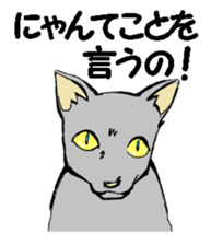 Real cat2 sticker #9195080