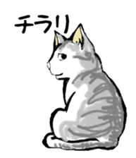 Real cat2 sticker #9195082