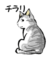 Real cat2 sticker #9195082