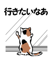 Real cat2 sticker #9195084