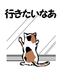 Real cat2 sticker #9195084