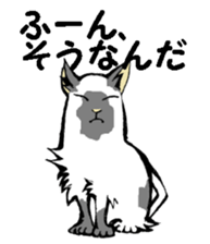 Real cat2 sticker #9195085