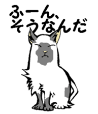 Real cat2 sticker #9195085