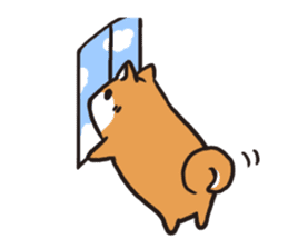 Japanese dog Shiba Inu sticker #9196459