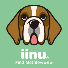 iinu - Saint Bernard