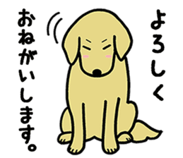 GOLDEN DOG 2 sticker #9199316