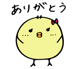 Chick Himepiyo 2 sticker #9199576