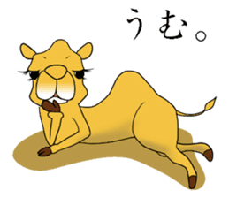 Bossy and cute dromedary Camel new sticker #9199969