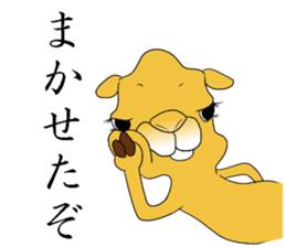 Bossy and cute dromedary Camel new sticker #9199970