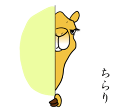 Bossy and cute dromedary Camel new sticker #9199971