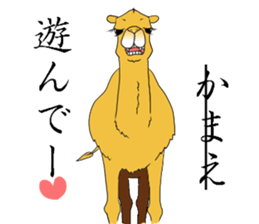 Bossy and cute dromedary Camel new sticker #9199972
