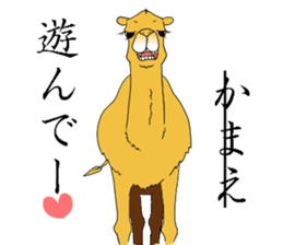 Bossy and cute dromedary Camel new sticker #9199972