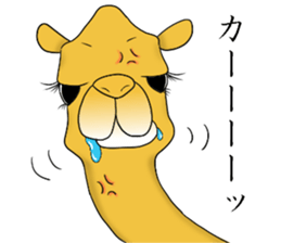 Bossy and cute dromedary Camel new sticker #9199975