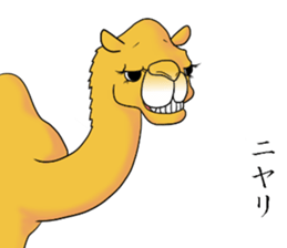 Bossy and cute dromedary Camel new sticker #9199978