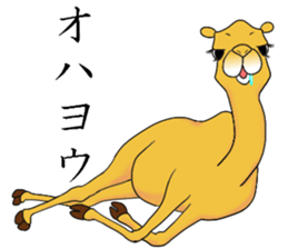 Bossy and cute dromedary Camel new sticker #9199981