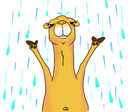 Bossy and cute dromedary Camel new sticker #9199994