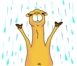 Bossy and cute dromedary Camel new sticker #9199994