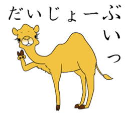 Bossy and cute dromedary Camel new sticker #9199999