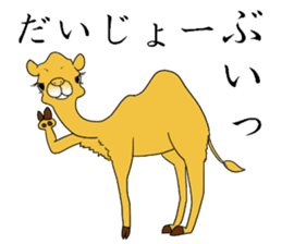 Bossy and cute dromedary Camel new sticker #9199999