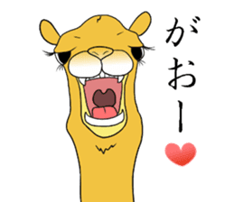 Bossy and cute dromedary Camel new sticker #9200005