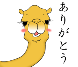 Bossy and cute dromedary Camel new sticker #9200007