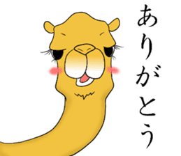 Bossy and cute dromedary Camel new sticker #9200007