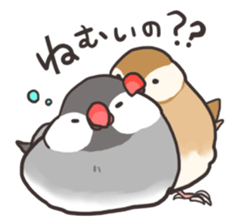 Java sparrow Stickers 3 sticker #9204971