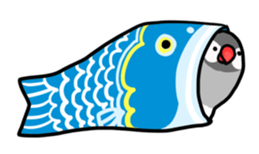 Java sparrow Stickers 3 sticker #9204978