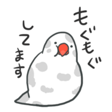 Java sparrow Stickers 3 sticker #9204980
