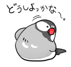 Java sparrow Stickers 3 sticker #9204982