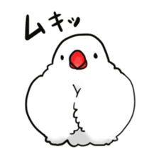 Java sparrow Stickers 3 sticker #9204984