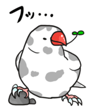 Java sparrow Stickers 3 sticker #9204999