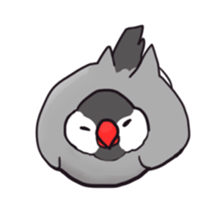 Java sparrow Stickers 3 sticker #9205000