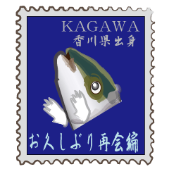 Reencounter of the yellowtail