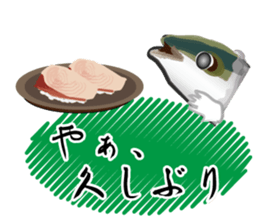 Reencounter of the yellowtail sticker #9205131