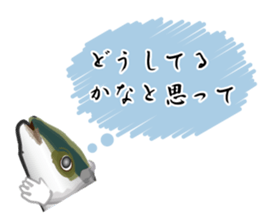 Reencounter of the yellowtail sticker #9205132