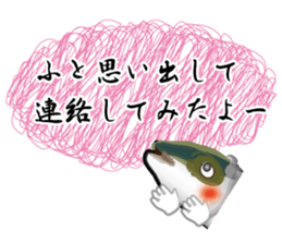 Reencounter of the yellowtail sticker #9205133