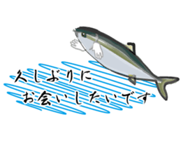 Reencounter of the yellowtail sticker #9205136