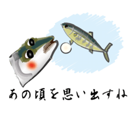 Reencounter of the yellowtail sticker #9205138