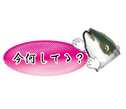 Reencounter of the yellowtail sticker #9205144