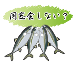 Reencounter of the yellowtail sticker #9205145