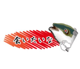 Reencounter of the yellowtail sticker #9205147