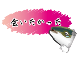 Reencounter of the yellowtail sticker #9205150