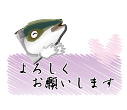 Reencounter of the yellowtail sticker #9205158