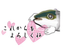 Reencounter of the yellowtail sticker #9205164