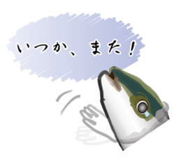 Reencounter of the yellowtail sticker #9205167