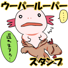 Ambystoma mexicanum is cute!