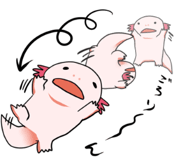 Ambystoma mexicanum is cute! sticker #9205773